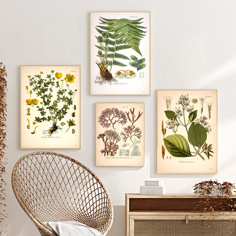 Resin Art Aesthetic - Vintage Medicinal Plants Botany Educational Wall