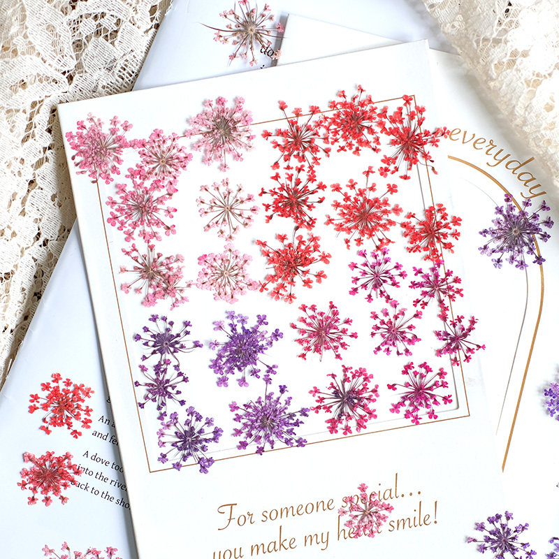 Resin Art And Jewelry - 24pcs,2-2.5cm,nature Dyed Mini Lace Pressed Flower