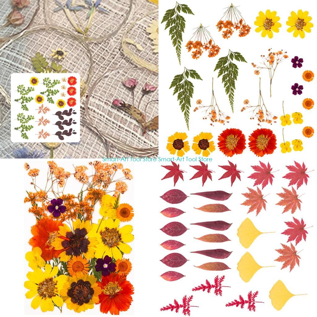 Resin Art And Jewelry - E1PB Natural Dry Flower Leaves Set