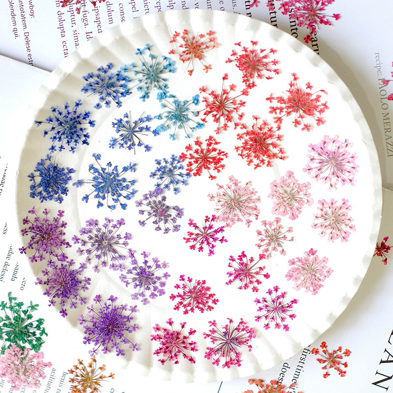 24pcs,2-2.5cm,nature Dyed Mini - Resin Art And Jewelry ulasan dan harga