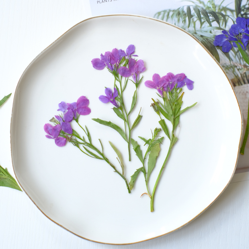 6pcs/8-13cm,nature Lobelia Eri - Resin Art And Jewelry ulasan dan harga