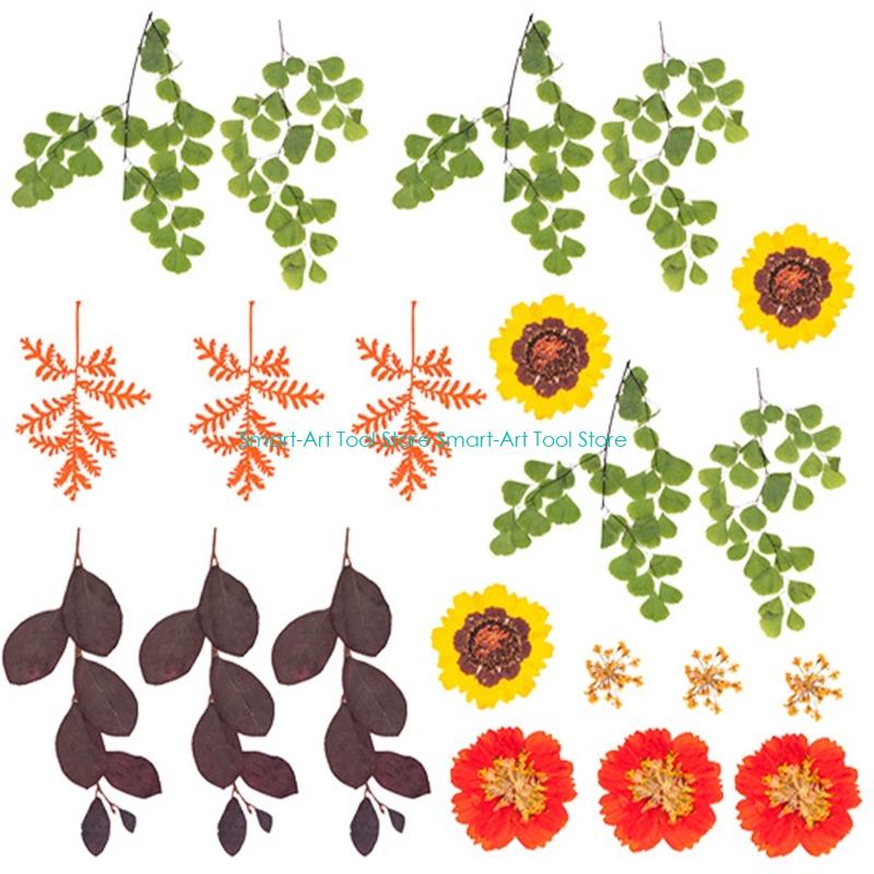 E1PB Natural Dry Flower Leaves - Resin Art And Jewelry ulasan dan harga