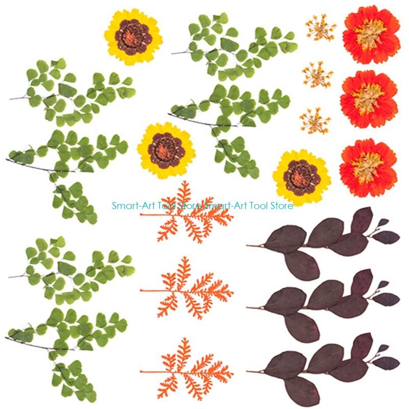 E1PB Natural Dry Flower Leaves - Resin Art And Jewelry ulasan dan harga