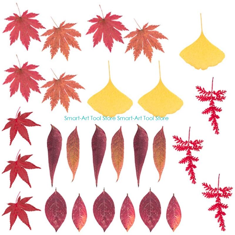 E1PB Natural Dry Flower Leaves - Resin Art And Jewelry ulasan dan harga